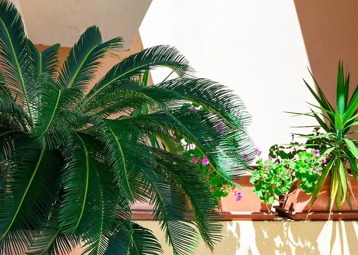 Cavour Cod C * וילסימיוס